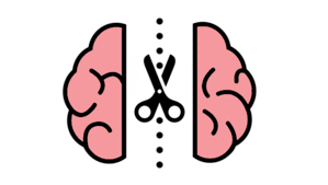 Elasticsearch Split Brain