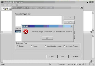 character length semantics is not enabled